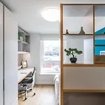 Student Only Studio Apartments In Brighton