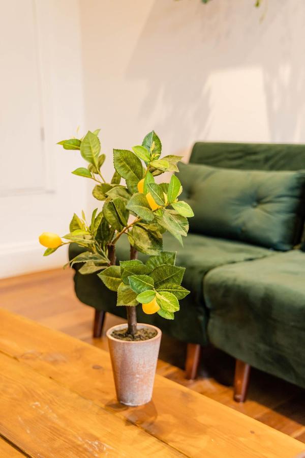Apartment 2cq*morden Studio Flat *moments Away From Seafront Brighton