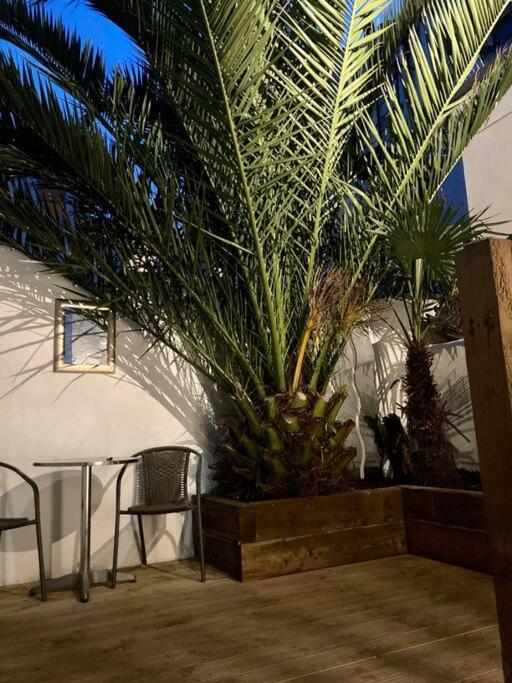 Palms Apartment *