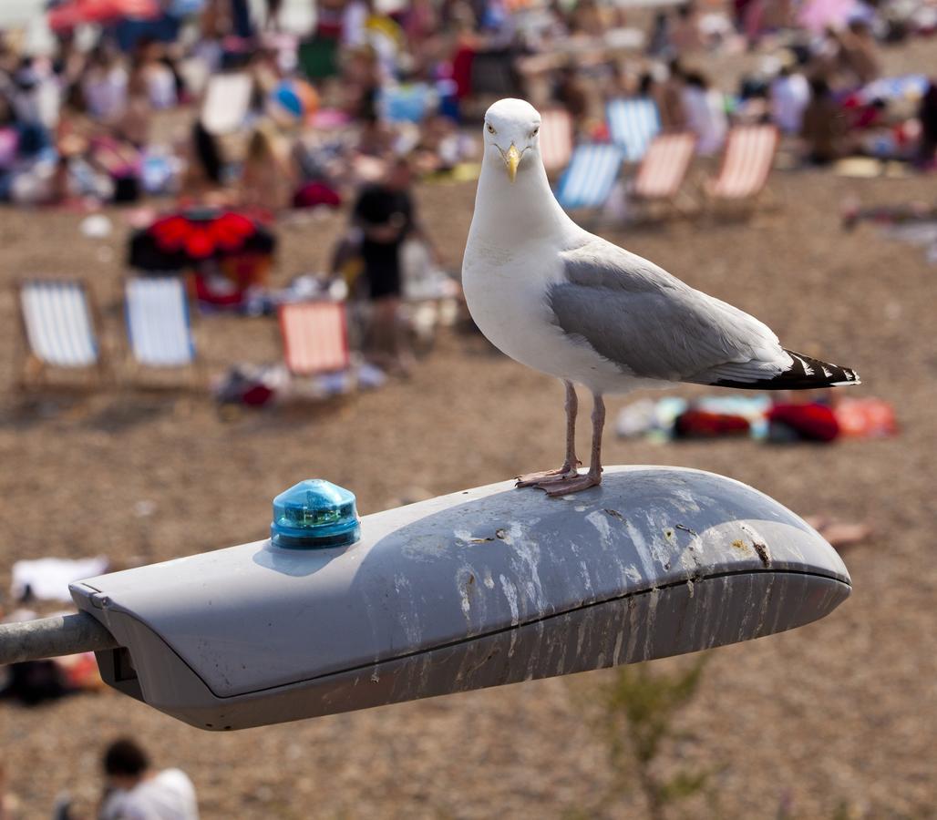 Beside The Seaside - By My Getaways Brighton