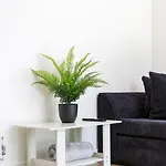 Newly Renovated 2 Bedroom Apartment With Garden
