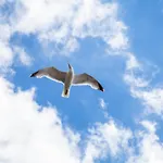 Cottage Retreat - By My Getaways - Free Parking