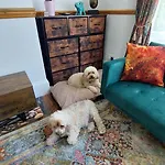 Pebbles Place