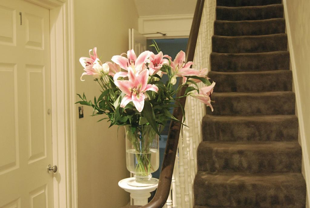 Greys Guest house *