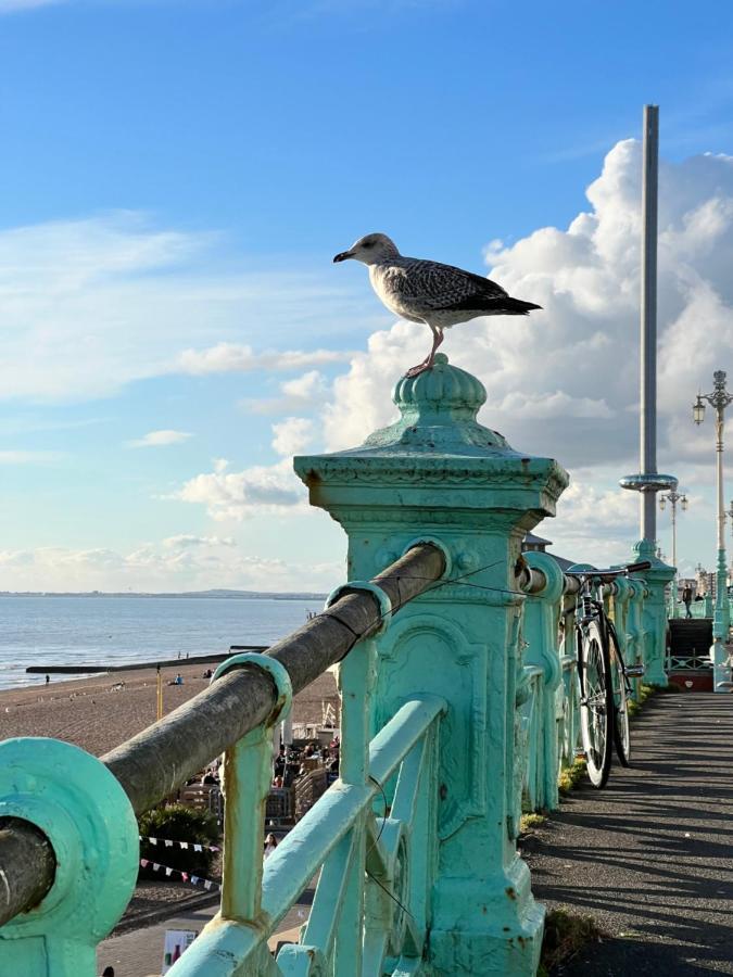 Charming & Garden - Brighton! Brighton