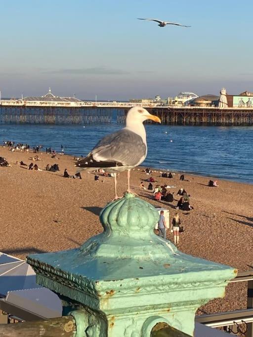 Regency Seafront Apartment *