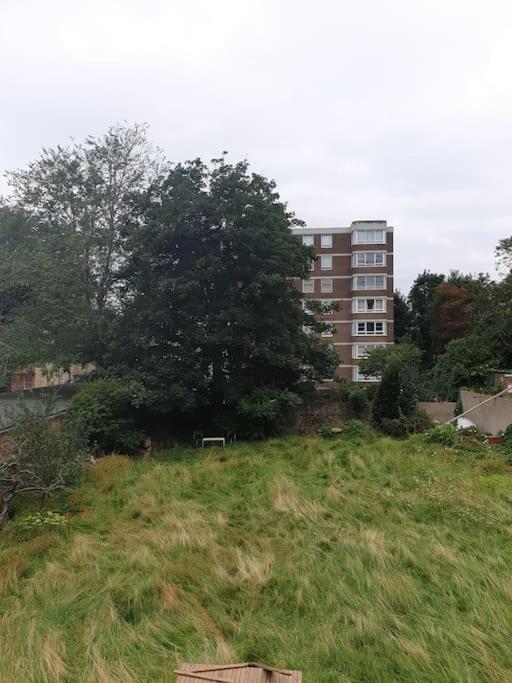 2 Spacious And Quiet One Bed In Central With Free Parking Apartment Brighton