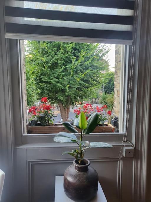 Apartment 9 Modern Classic - Spacious One Bed - Great Location - Free Onsite Parking - Comfy Bed *