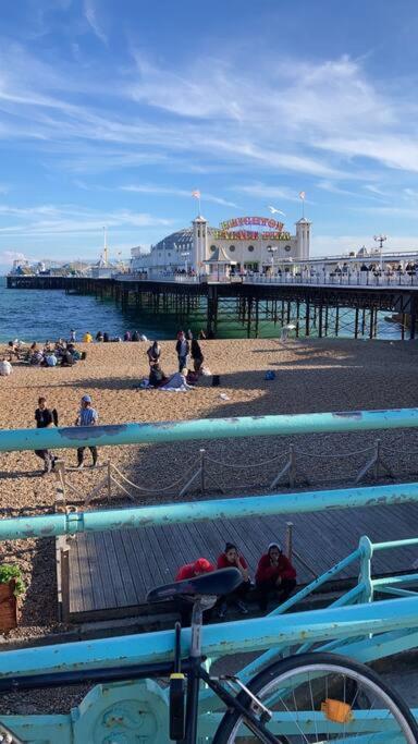 Driftwood By The Sea Brighton