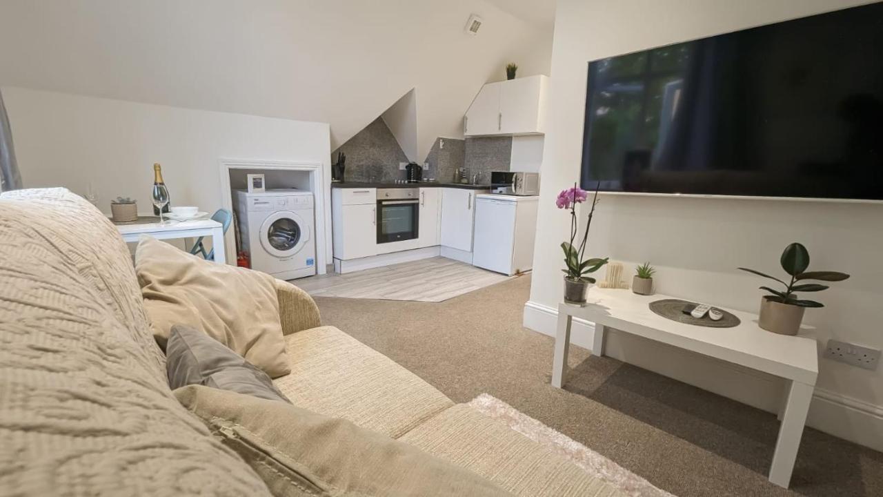 Modern Spacious *