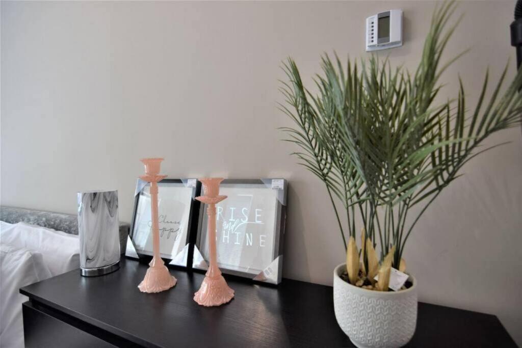 Apartment Flash Sale Centre Seafront 1 Bedroom Flat Bn1gre09