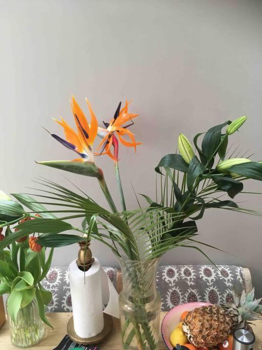 Three Bedroomed Victorian Family House, Garden * Brighton