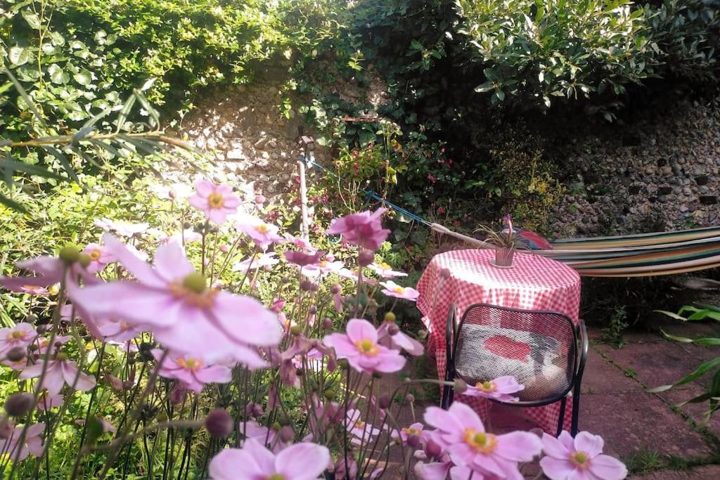 Cosy 1 Bedroom With Garden 2 Min From Seafront Brighton