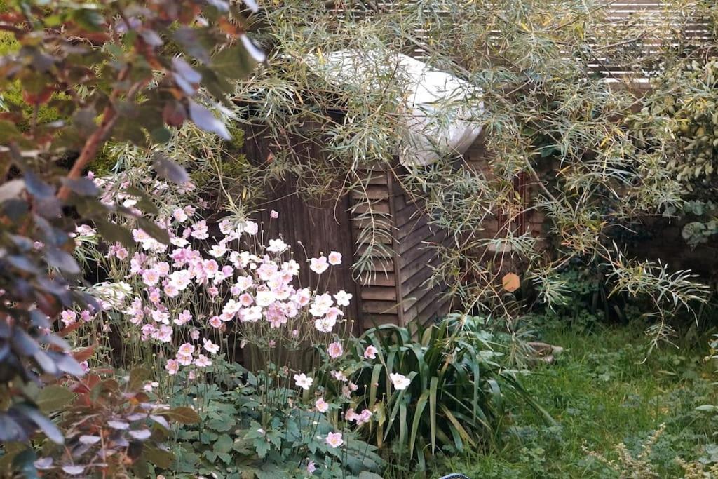 Apartment Cosy 1 Bedroom With Garden 2 Min From Seafront Brighton