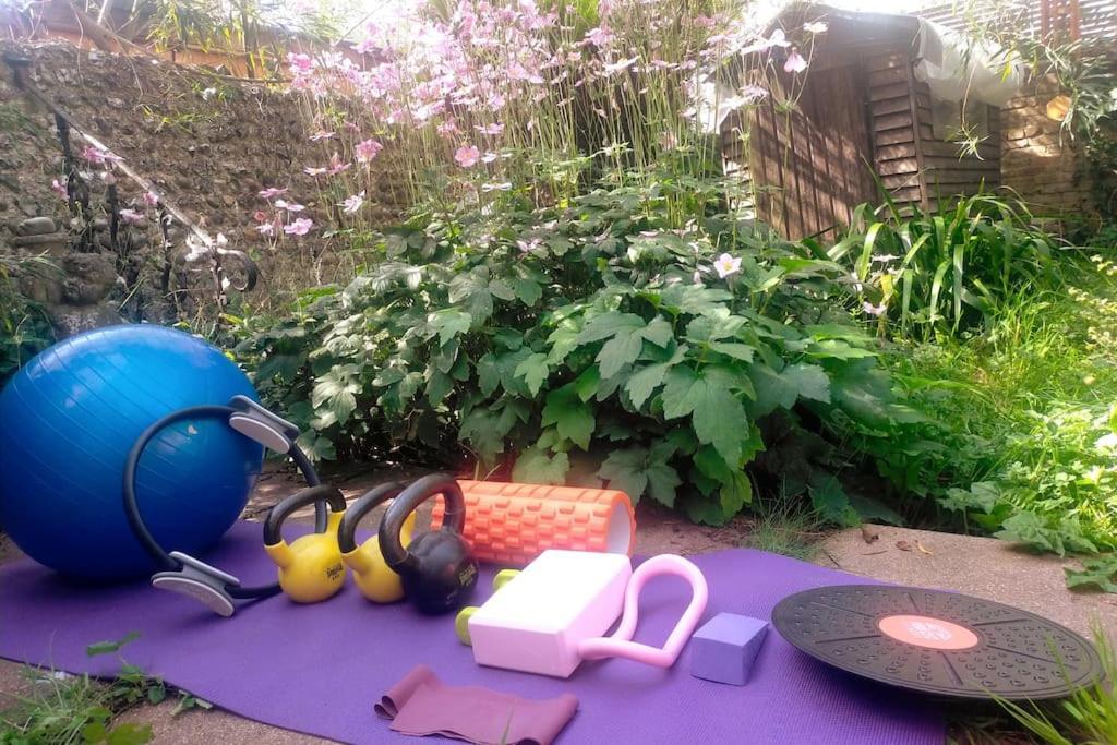 Cosy 1 Bedroom With Garden 2 Min From Seafront * Brighton