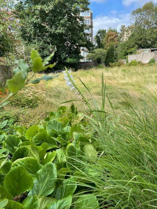 3 Garden One Bed Flat - Great Location - Free Onsite Parking - Private - Comfortable * Brighton