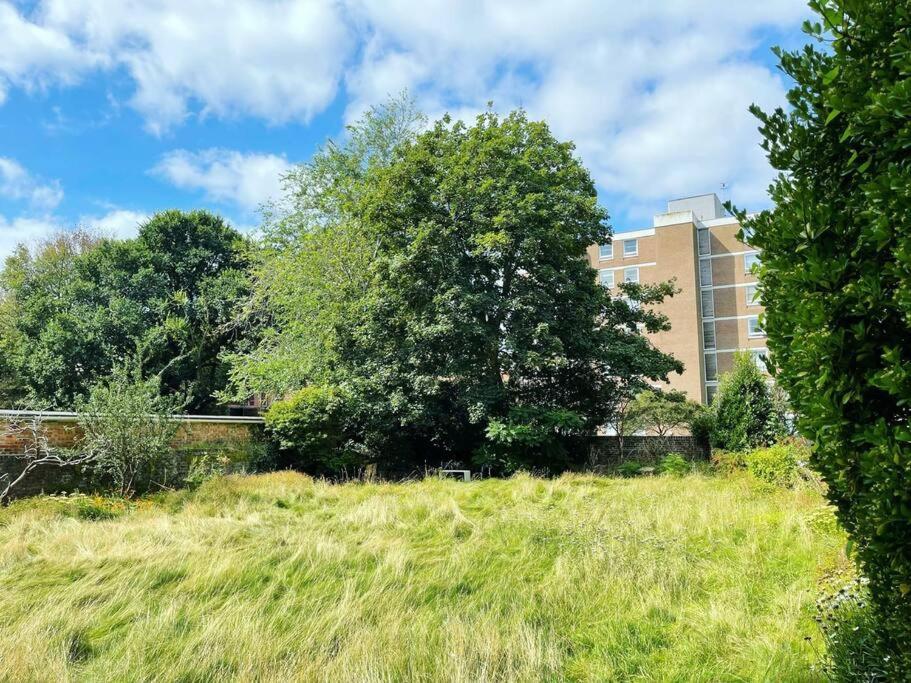 Apartment 3 Garden One Bed Flat - Great Location - Free Onsite Parking - Private - Comfortable