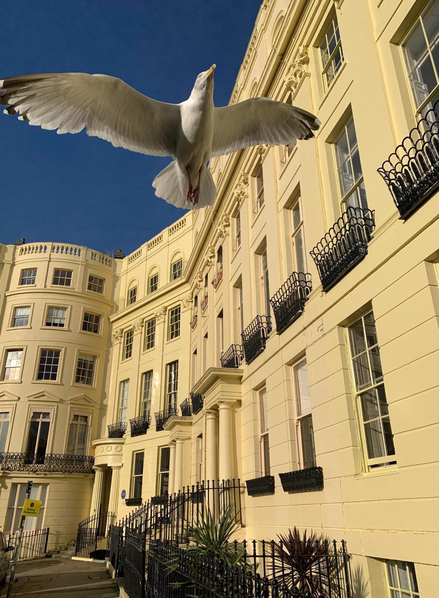Lansdowne House Bed & Breakfast Brighton