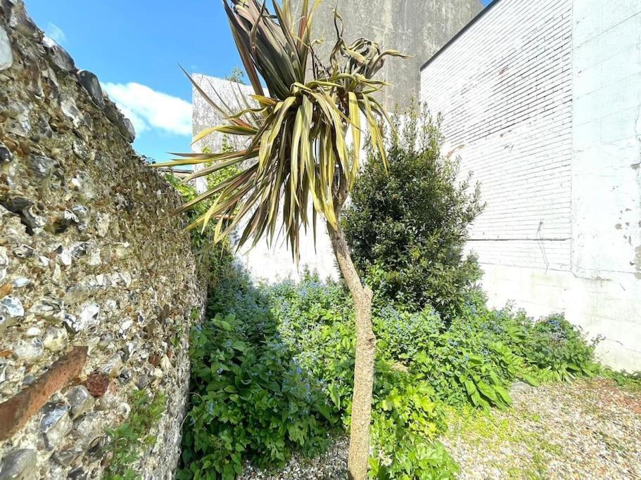 2 Bedroom * Brighton
