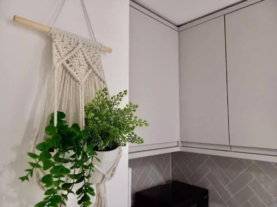 Flash Sale Kemptown 1 Bedroom Flat Bn236stg04 *