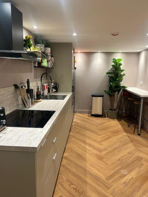 The Basement Apartment *
