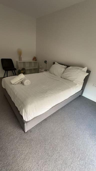 The Pad Brighton