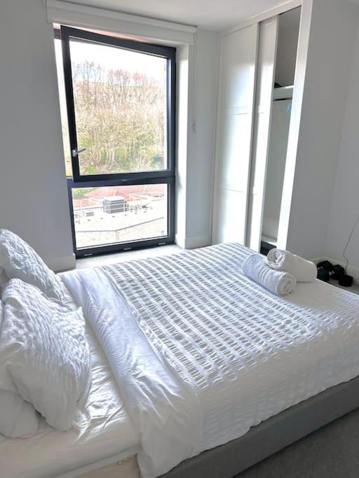 The Pad Apartment Brighton