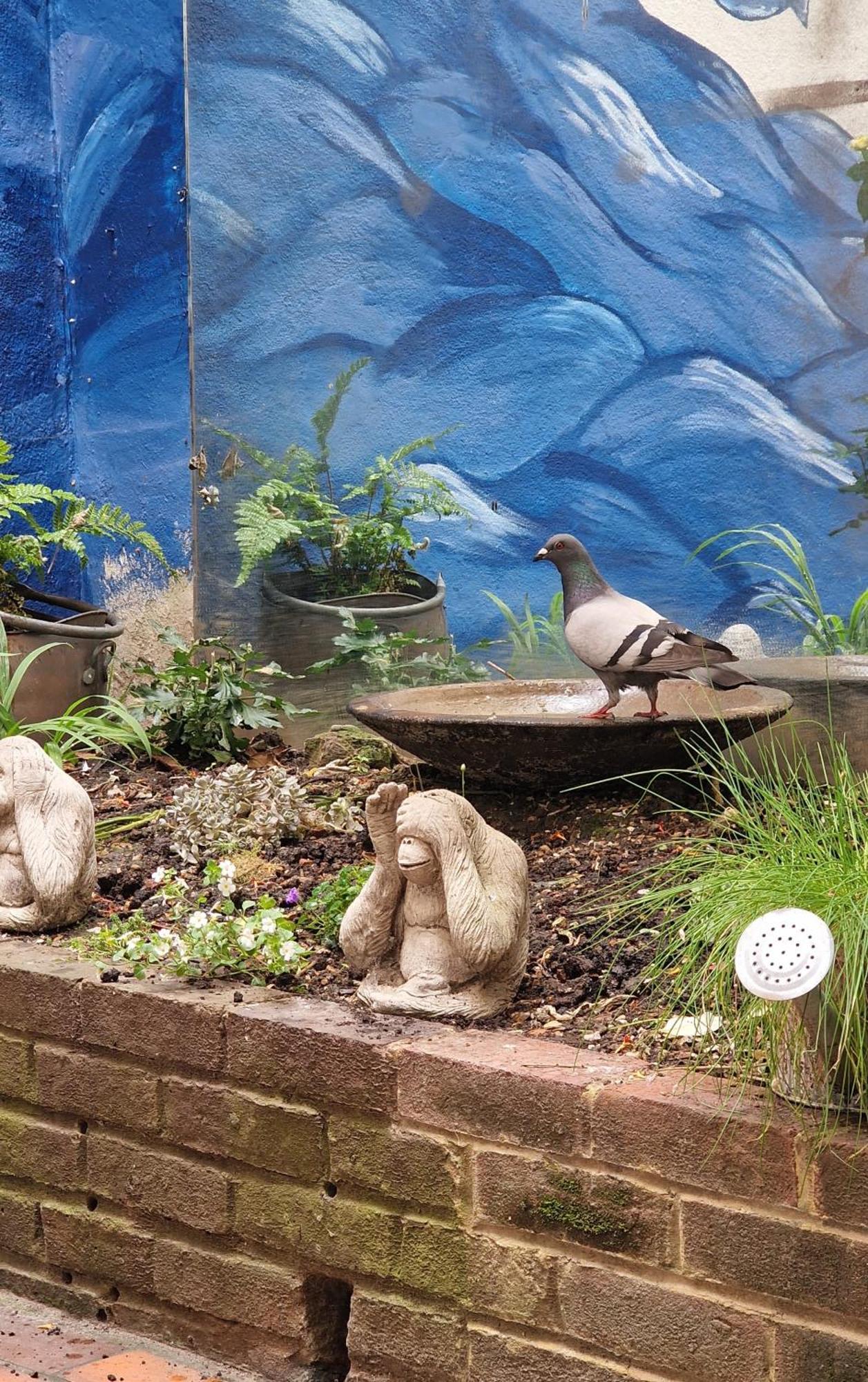 Apartment Molly Marine - Bespoke 2 Bedroom Courtyard - 1 Minute From Pier *