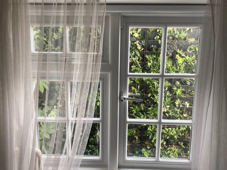Holiday home Stylish Townhouse In Vibrant North Laine Brighton