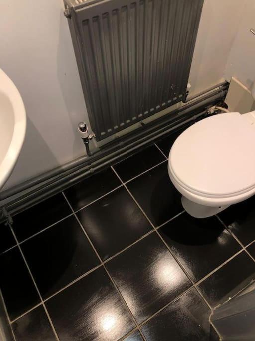 1 Large Comfy Garden - Prime Location Apartment *