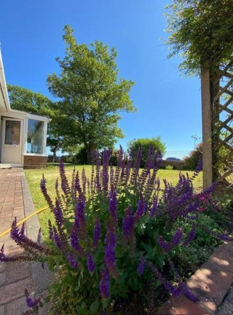 Panorama Retreat 2 Bedroom With Breathtaking See Views