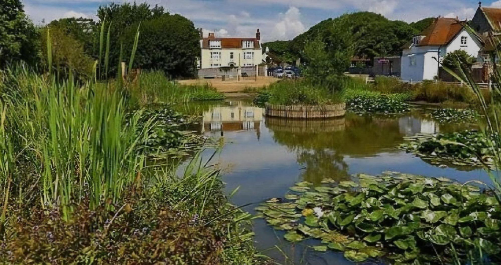 Lovely Flat In Rottingdean Apartment *