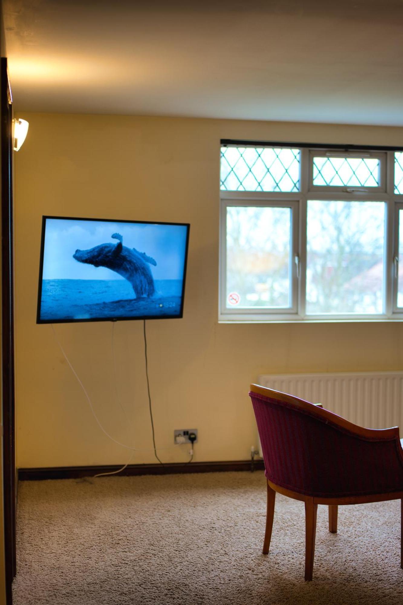 Clifton House 3* Brighton