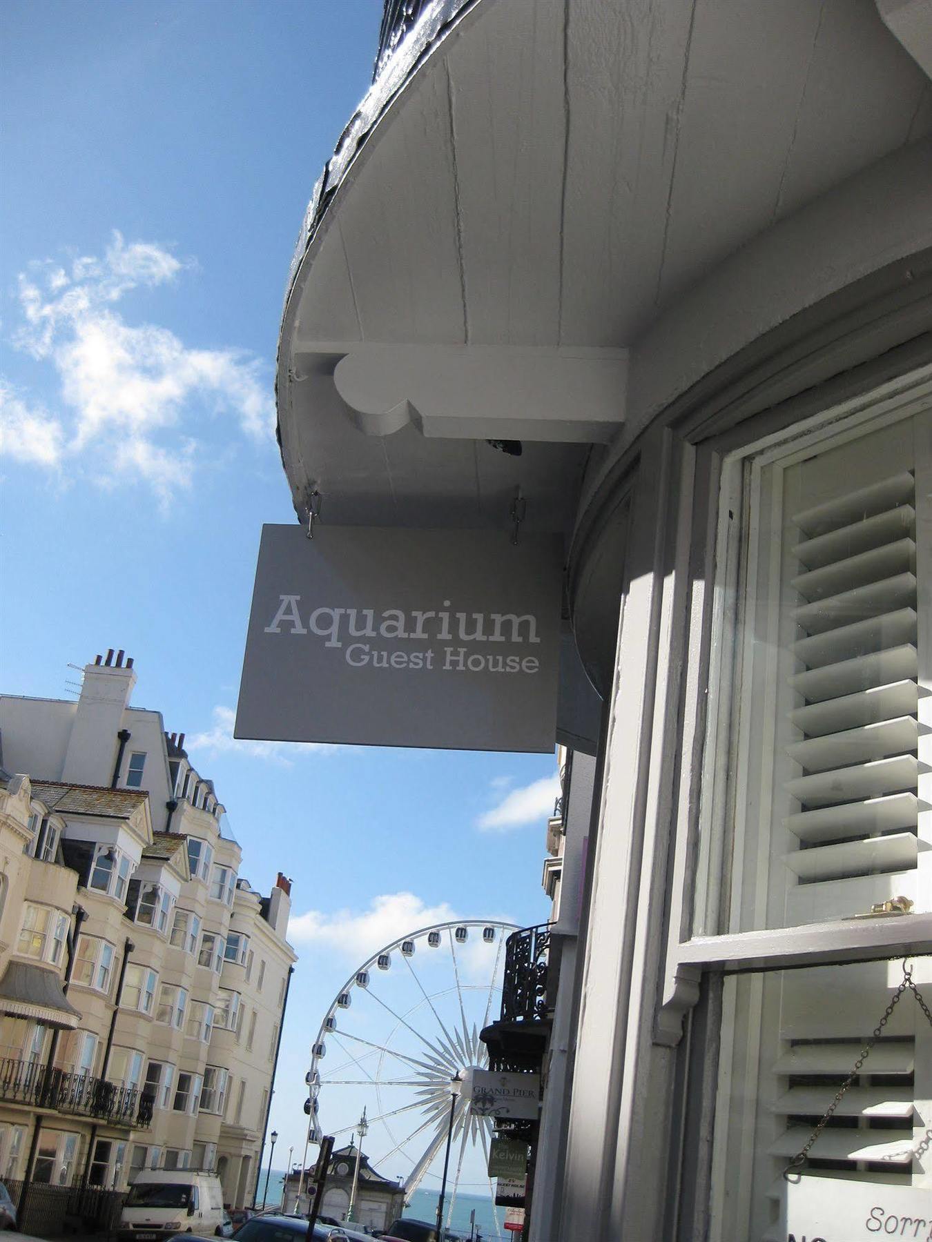 Aquarium Brighton