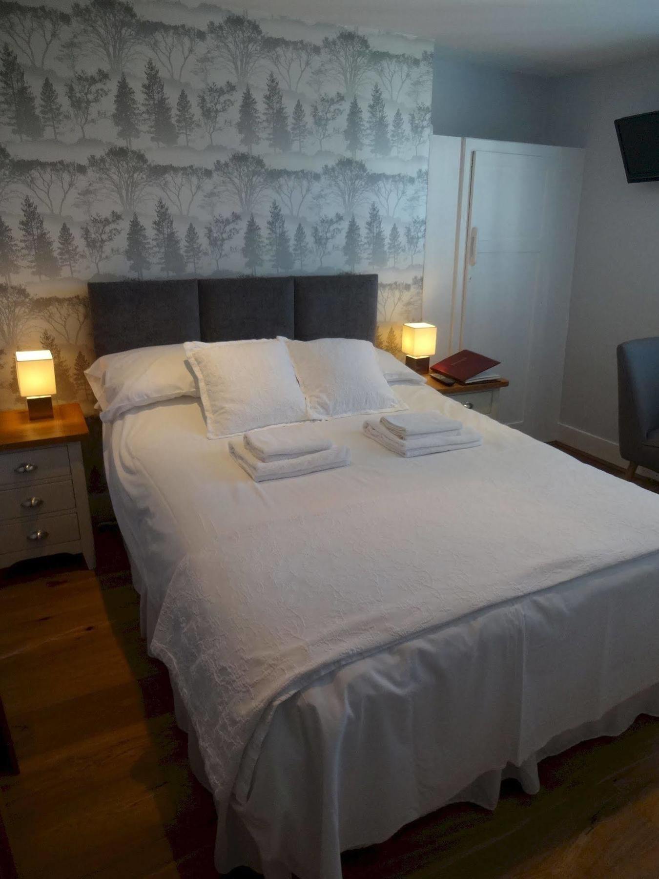 Aquarium Guest house
