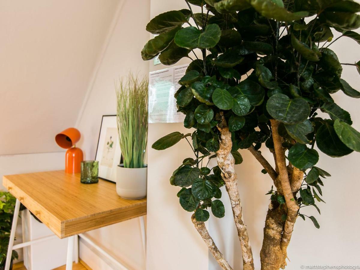 Exquisite 3bdr Botanical Oasis In Holiday home *