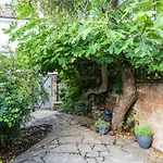 Birch At Ship St Gardens