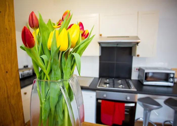 Celebrity Apartments Brighton Queens