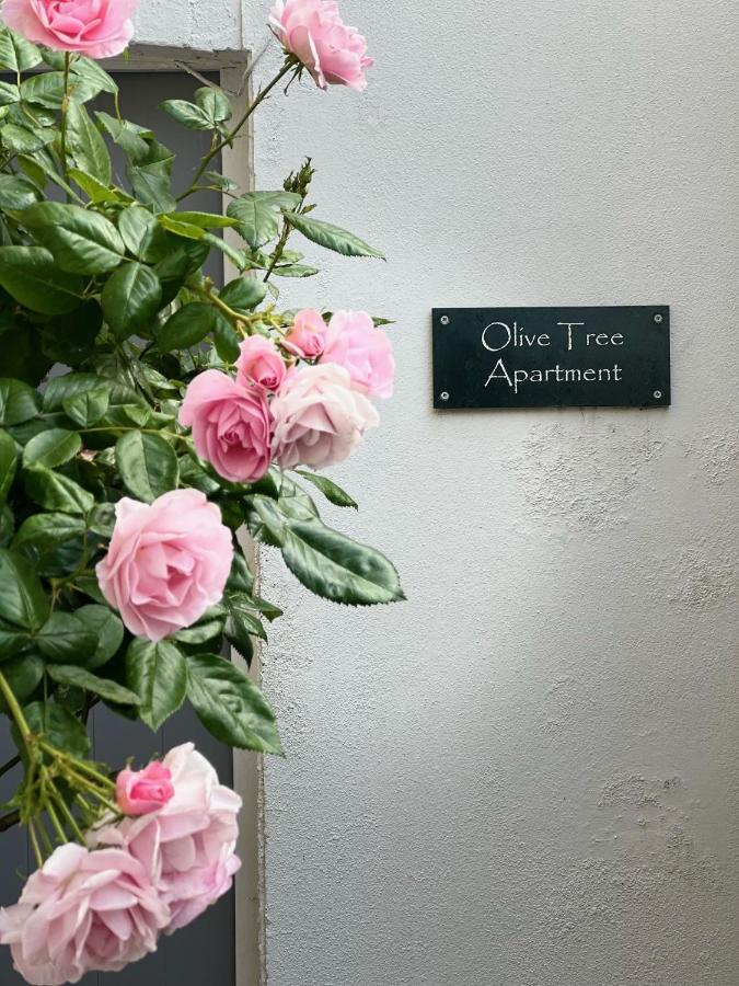 Olive Tree *