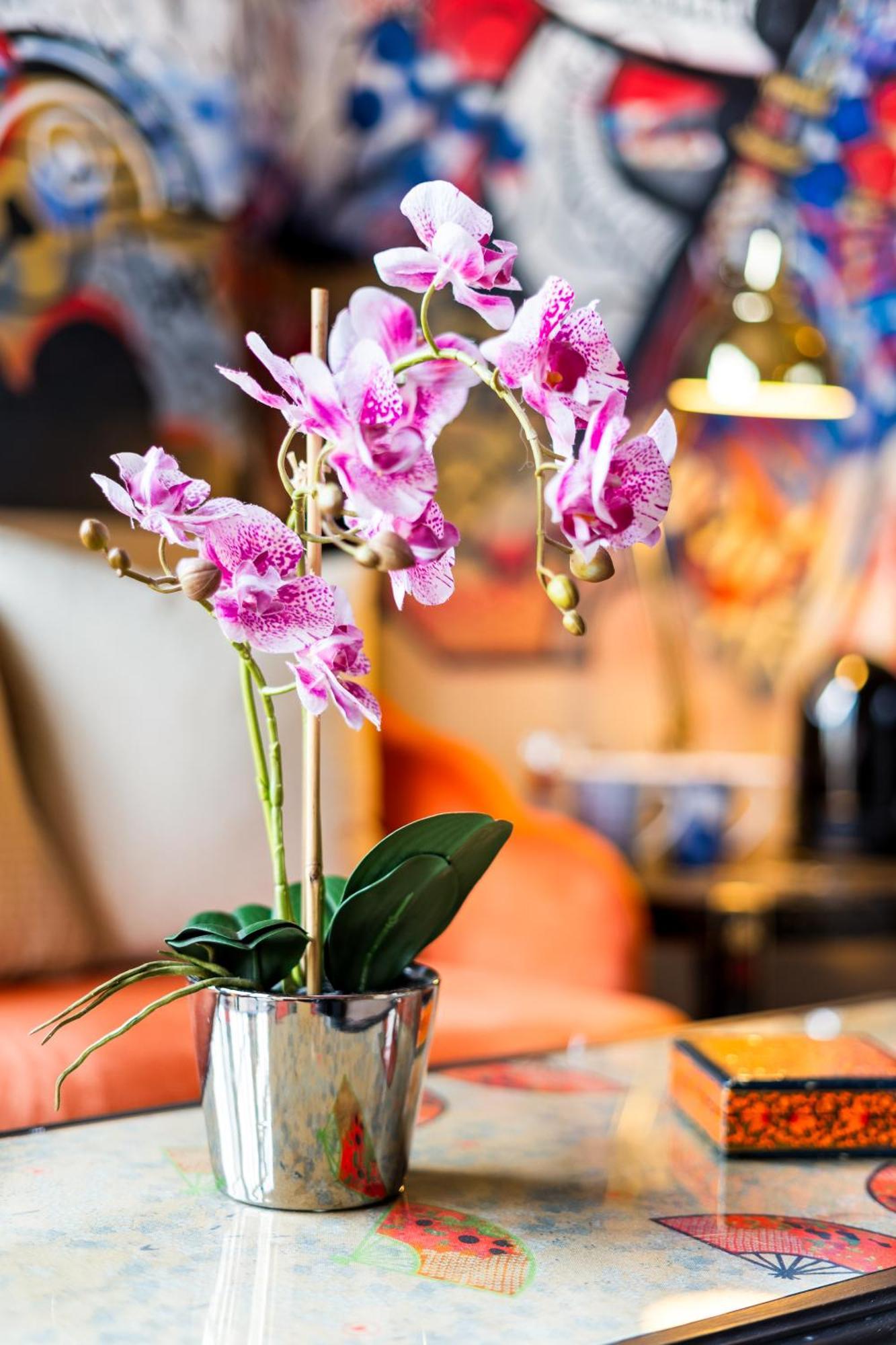 Hotel Pelirocco