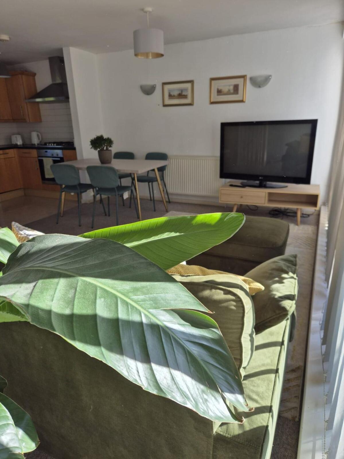 Eco House & Holiday home *