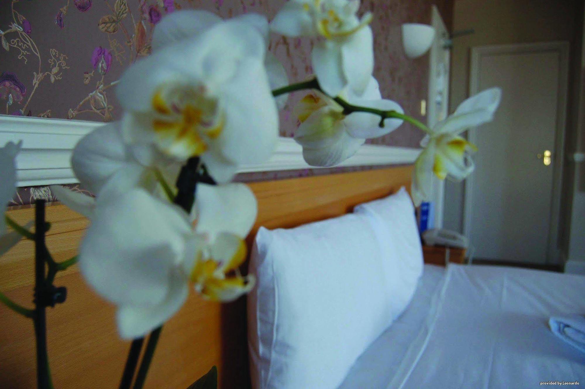 The Hotel