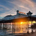 Modern Studio Cabin In Hove, Walk To The Sea & South Downs, Easy Access To Brighton